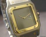 Cartier SANTOS RUTHENIUM