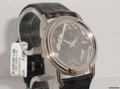 Corum Meteorite