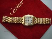 Cartier Panthere HERREN