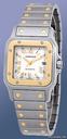 Cartier Santos