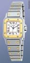 Cartier Santos