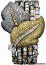 Piaget Limelight Leaves