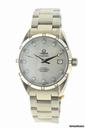 Omega Co-Axial  seamaster Aqua Terra