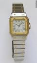 Cartier Santos