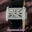 Cartier Divan White Gold - Diamond Case