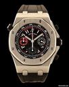 Audemars Piguet Offshore Alinghi Polaris