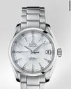Omega Seamaster Aqua Terra Mid Size Chronometer Ref.231.10.39.21.55.001