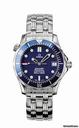Omega seamaster diver