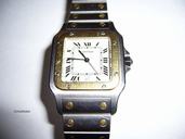 Cartier Santos