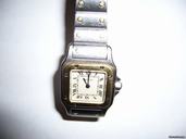 Cartier Santos