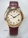 Cartier Cougar grande taille or jaune/cuir