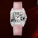 Cartier Santos 100 Medium Size Ref.w20126x8
