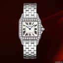 Cartier Santos Demoiselle Oro Bianco E Diamanti Ref.wf9004y8