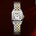 Cartier Santos Demoiselle Acciaio E Oro Giallo Ref.w25066z6