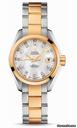 Omega Seamaster Aqua Terra Automatic Steel And Yellow Gold