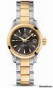Omega Seamaster Aqua Terra Automatic Steel And Yellow Gold