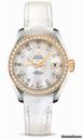 Omega Seamaster Aqua Terra Automatic Steel And Yellow Gold