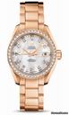 Omega Seamaster Aqua Terra Automatic Red Gold