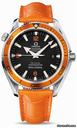 Omega Seamaster Planet Ocean 42 mm Stainless Steel On Leather