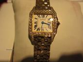 Cartier Santos Demoiselle