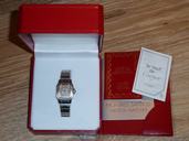 Cartier Santos