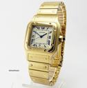 Cartier Santos Galbee