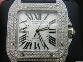 Cartier santos 100