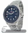 Omega Seamaster Professional (New Model)