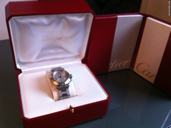 Cartier pasha gmt acier