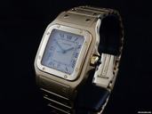 Cartier Santos