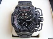 Audemars Piguet Royal Oak Offshore Survivor