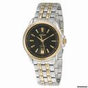 Seiko Men's Perpetual Calendar Watch