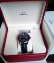 Omega Seamaster Professional 300m