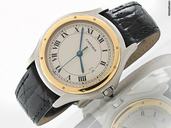 Cartier "COUGAR C84173" 34 mm Edelstahl Quarz