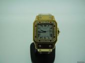 Cartier santos
