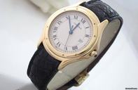Cartier Cougar Panthere 18K/750 Gold Medium