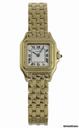Cartier Panthere W25034B9