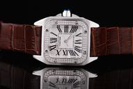 Cartier Santos 100 W20072x7 29x40mm Stainless Steel Case Watch