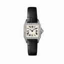 Cartier Santos Demoiselle Silver Dial Ladies Watch WF902007