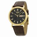 Citizen Eco Drive Black Dial Gold-tone Stainless Steel Brown Leather Men's Watch BM8242-08E