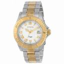 Invicta Angel White Dial Two-tone Ladies Watch 14364