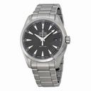 Omega Seamaster Aqua Terra Grey Dial Stainless Steel Men's Watch 231.10.39.60.06.001