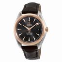 Omega Seamaster Aqua Terra Teak Grey Dial Automatic Men's Watch 231.23.42.21.06.003