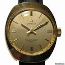 Omega Seamaster Cosmic Dames
