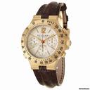 Bulgari Men's Diagono Professional Terra Watch