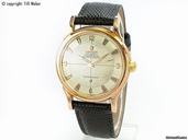 Omega "Constellation Bumper"