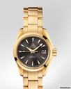 Omega Seamaster Aqua Terra Automatic Ref.231.50.30.20.06.002