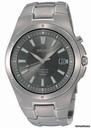 Seiko Silver Tone Dial Titanium Mens Watch SKA397