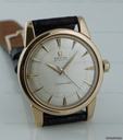 Omega Seamaster Vintage RG