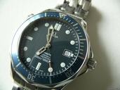 Omega Seamaster Professional